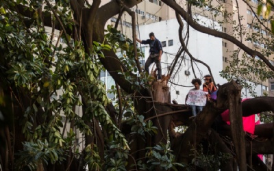Prefeitura faz permuta com construtoras e Doria diz ter garantido Parque Augusta Sobre uma rvore, ativistas protestam contra a reintegrao de posse do Parque Augusta, na Rua Augusta, Centro de So Paulo, em 2015 (Foto: Victor Moriyama/G1) 
