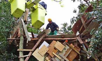 Prefeitura de Mau remove construo em topo de rvore Foto: Andr Henriques/DGABC
