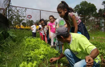Hortas orgnicas so destaque em escolas de Mau A Prefeitura tem investido para garantir que o projeto chegue em mais escolas, ampliando parcerias. Crdito: PMM
