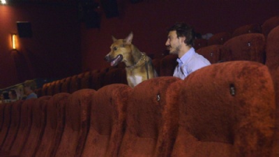 O cinema de Londres que recebe cachorros Ces e donos assistem a sesso de cinema juntos em estabelecimento de Londres. (Foto: Reproduo) 