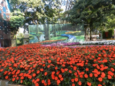 Expoflora comea HOJE em Holambra Jardim da Impresa. Foto: Vera Longuini 